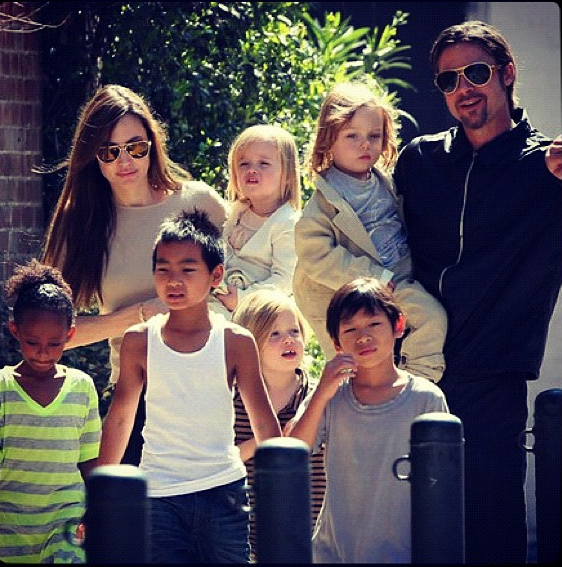 Angelina Jolie & Brad Pitt with adopted kids Maddox, Pax and Zahara, as well as their biological children, Shiloh, Knox and Vivienne