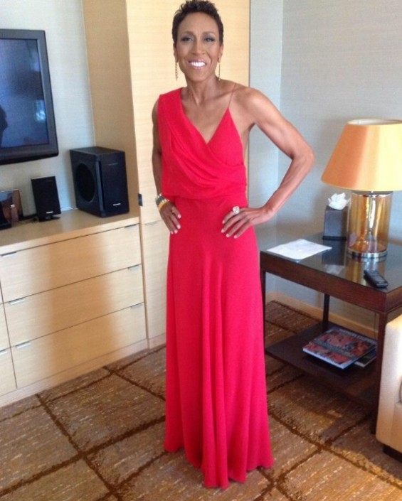 Robin Roberts Gay, Girlfriend Amber Laign Revealed PHOTOS; 'Good ...